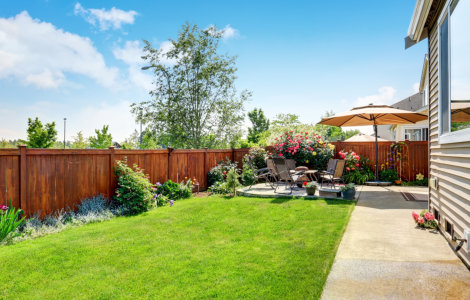 backyard and patio area